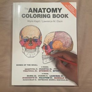 Anatomy coloring book (brand new)